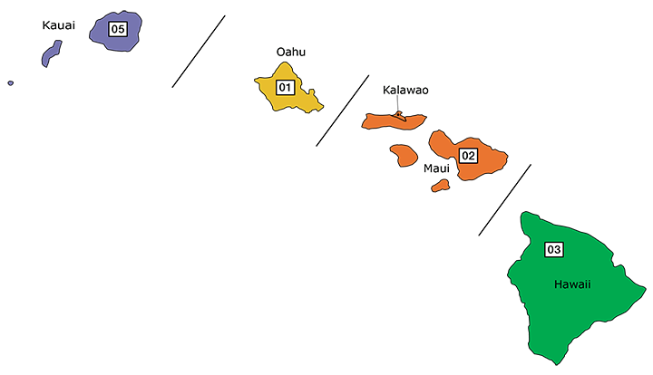 Hawaii Map whole