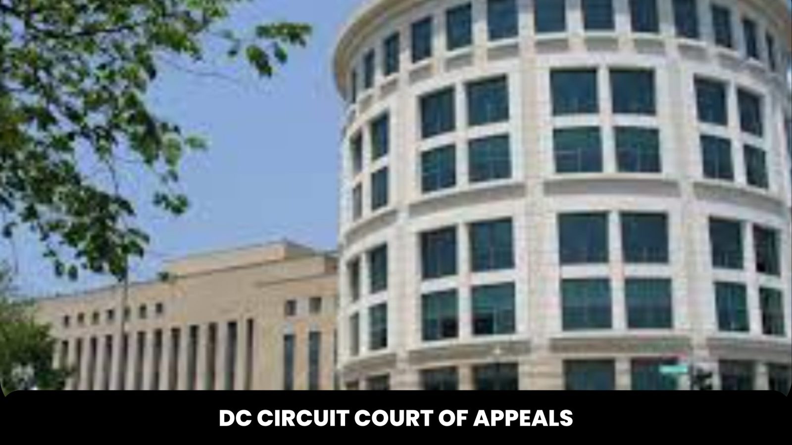 DC Circuit Court Of Appeals