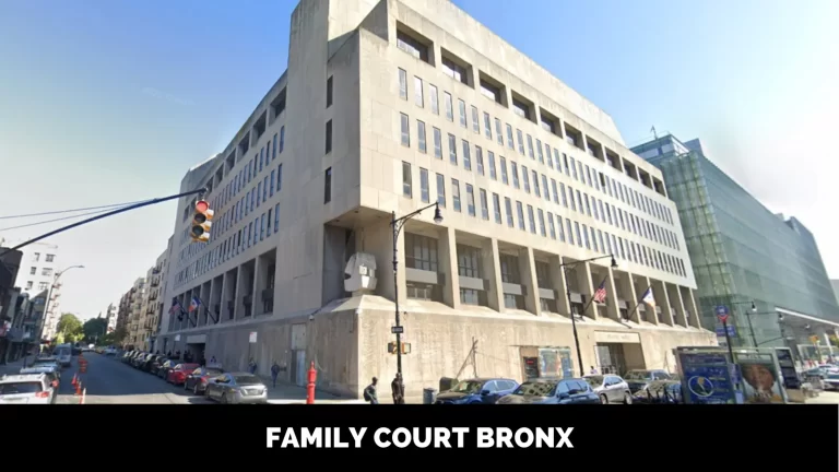 Bronx County Family Court