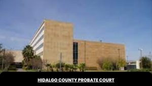 Hidalgo County Probate Court, Texas