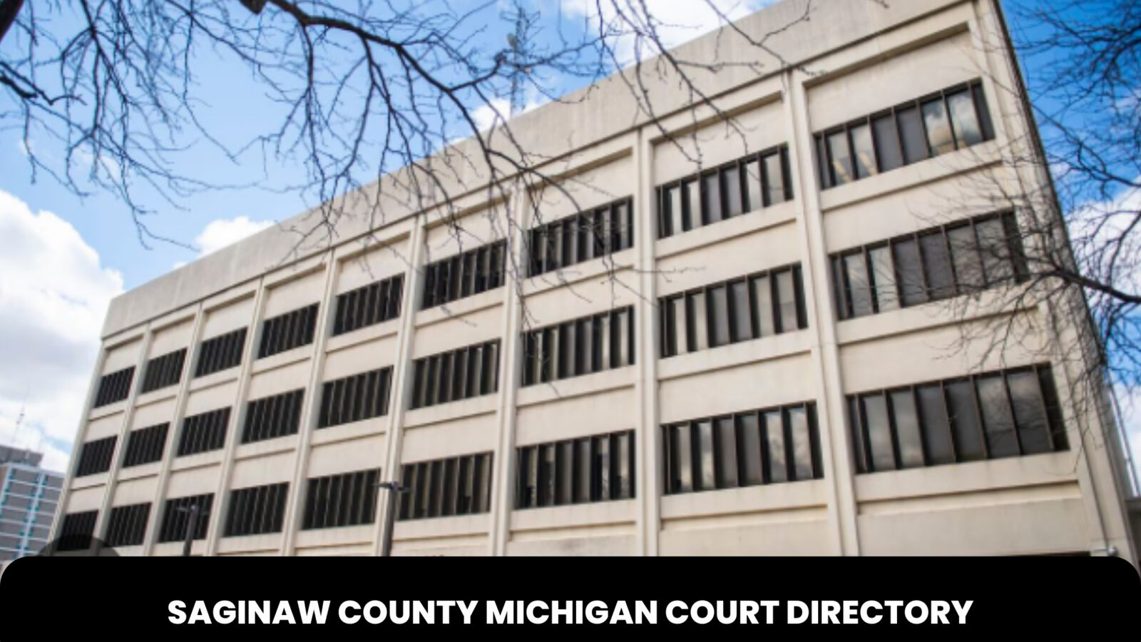 Saginaw County Michigan Court Directory 1