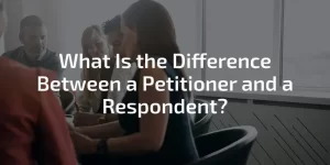 What is a Petitioner in Court?