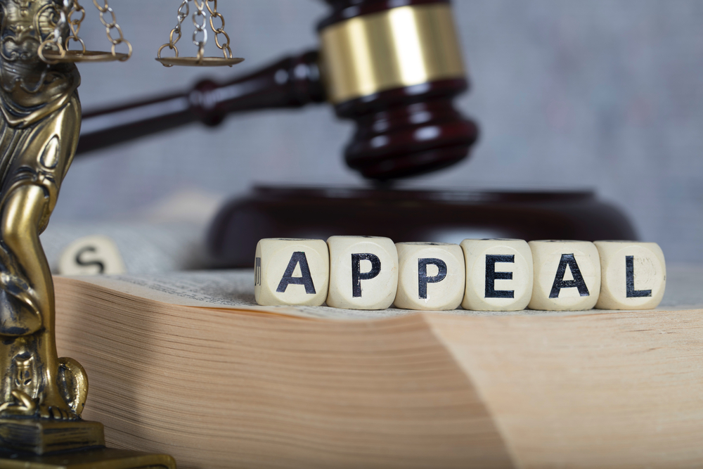 How to Win an Appeal in Court