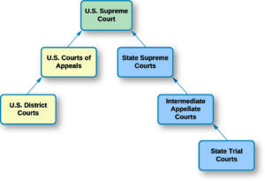 What is a Dual Court System